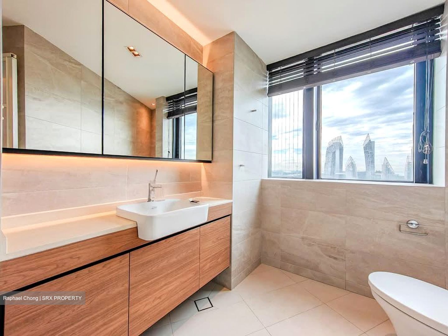 Harbour View Towers (D4), Condominium #536736551